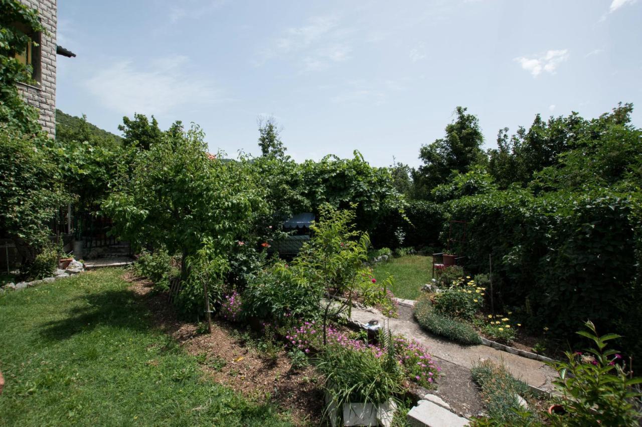 Apartments Frkovic Ledenice المظهر الخارجي الصورة